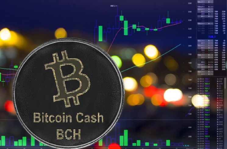 Bitcoin SV (BSV), Bitcoin Cash (BCH) растут на фоне роста надежд на BTC ETF