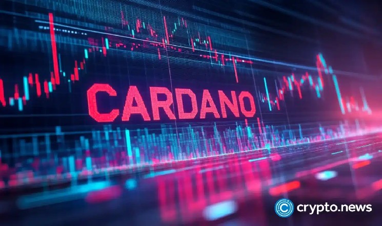 Cardano price pops as traders chase beta, but derivatives say ‘fragile’