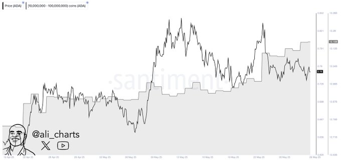 Whales Accumulate Over 180 Million ADA as Cardano Price Faces Short-Term Pressure 1 AD 4nXfJXbINnttyVzKFvAPkEeiMF o0jn0rxcUfFDvB1bWzRVvSFfBGVSb0DspC 8ta hOFcf06VMWx3wKazRwuuBObtTi eFAHF2BZvr8NjjyyZl6OiWwQDVEZOfDsFneiElRTr4HGLA?key=FgS9HFgsoscw4vXGtkTZzw