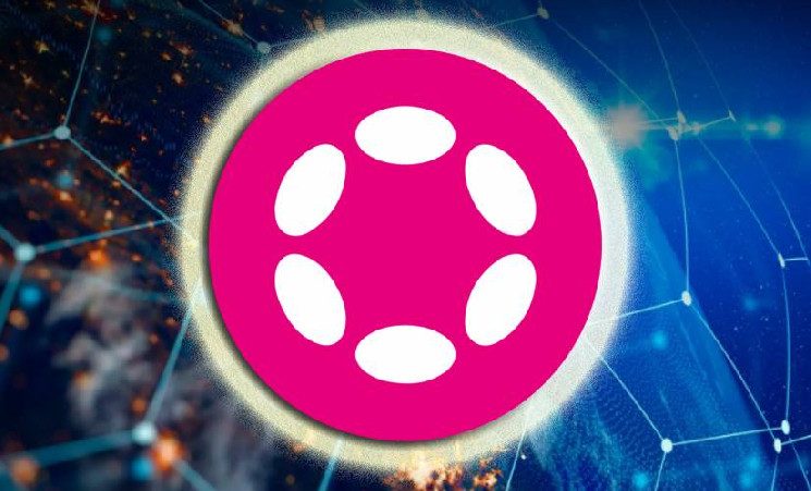 Соучредитель Manta раскритиковал Polkadot