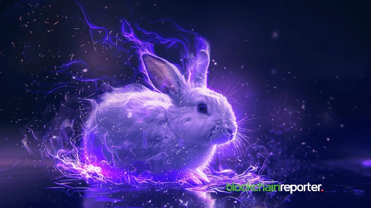 Rewards Bunny интегрируется с Aiden, чтобы революционизировать взаимодействие Web3