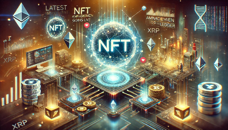 Крупные поправки в NFT теперь живут в XRP Ledger — вот что нового