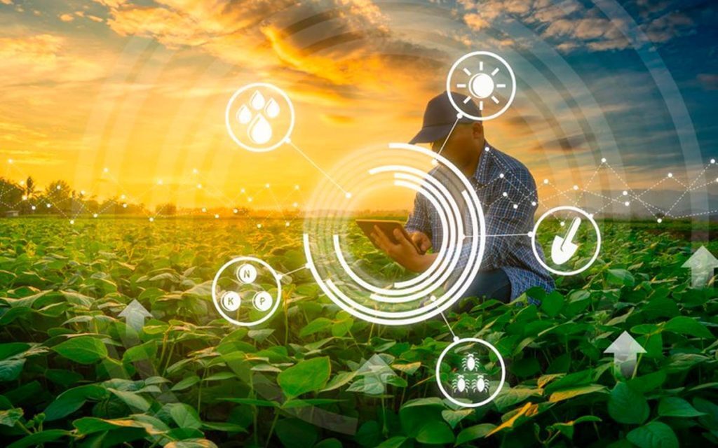 La tecnología Blockchain en el sector agrícola