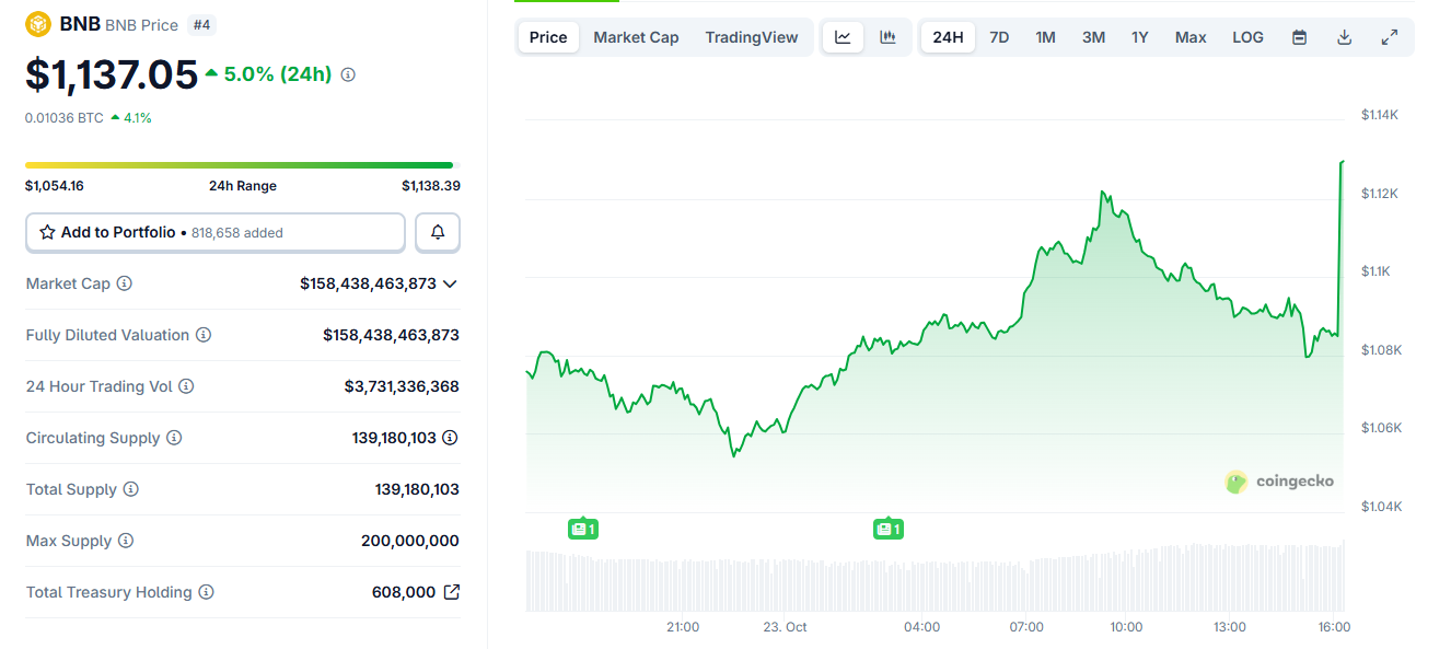 ارتفاع سعر BNB بعد عفو ترامب عن CZ. المصدر: CoinGecko