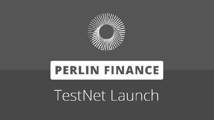 Perlin Finance запускает кредитную платформу на Neo N3 TestNet
