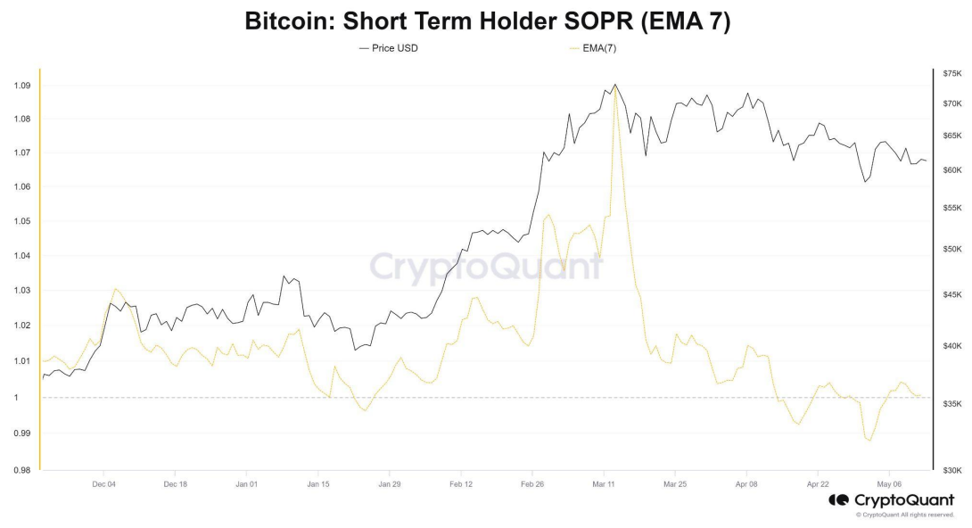 Bitcoin whales hold steady amid short-term holder sell-off: Bitfinex