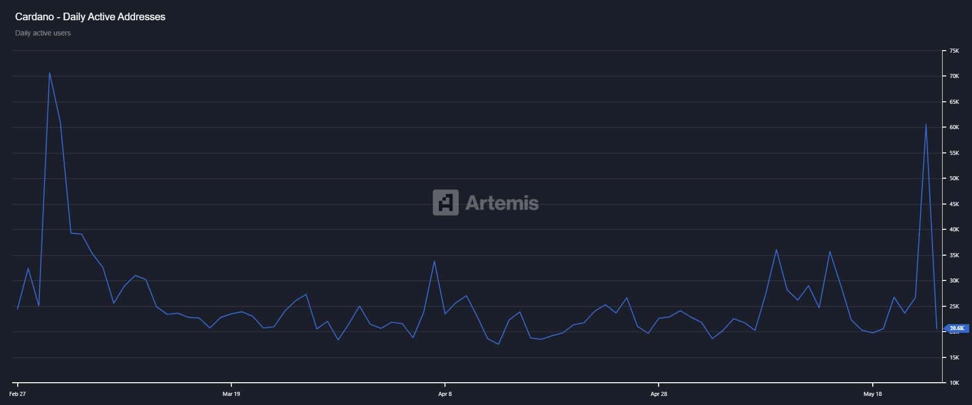 daily active Cardano investors