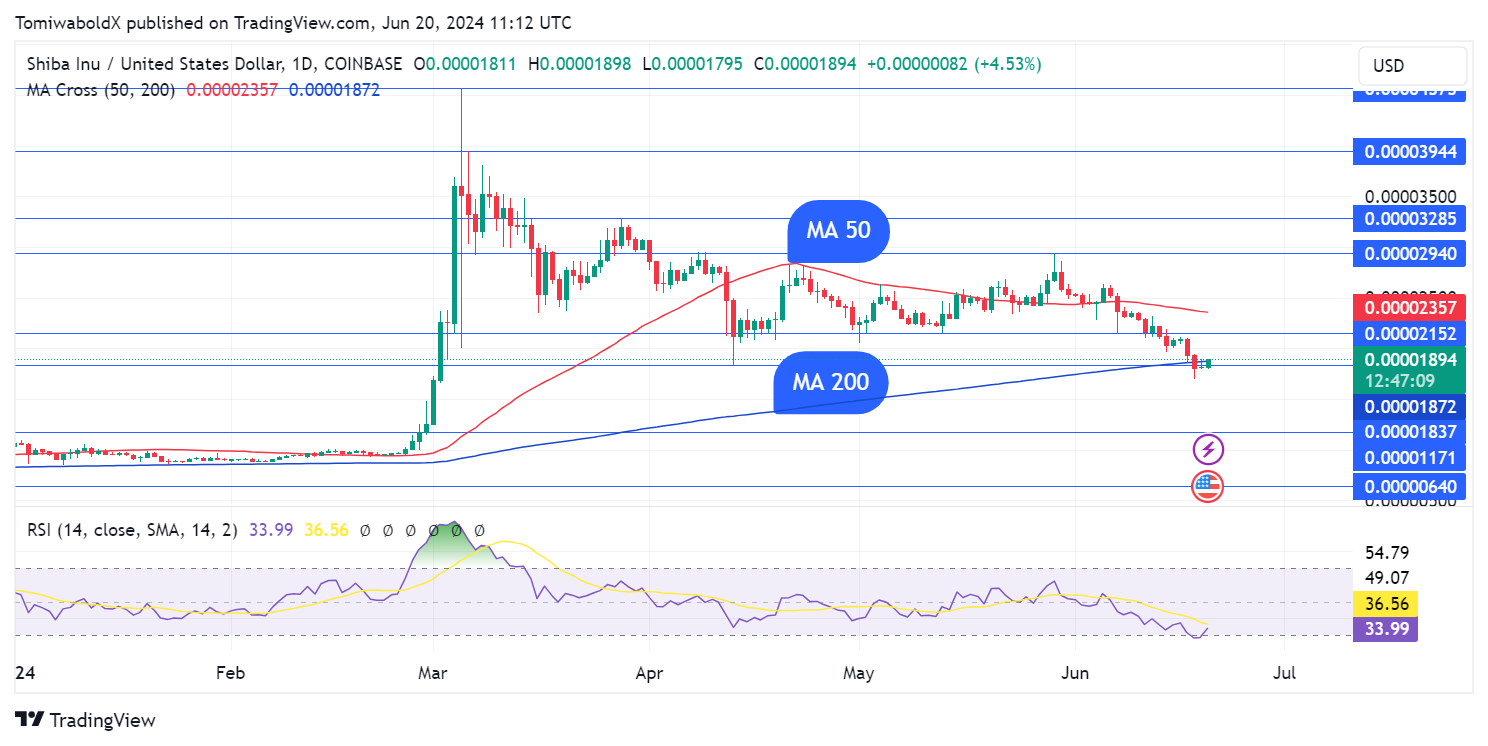 Shiba Inu (SHIB) Meroketkan Arus Bersih 4.320% dalam Dorongan Pemulihan Harga yang Epik