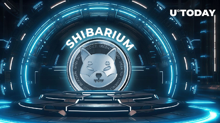 Сиба-ину: будущее шибариума, раскрытое руководителем маркетинга SHIB
