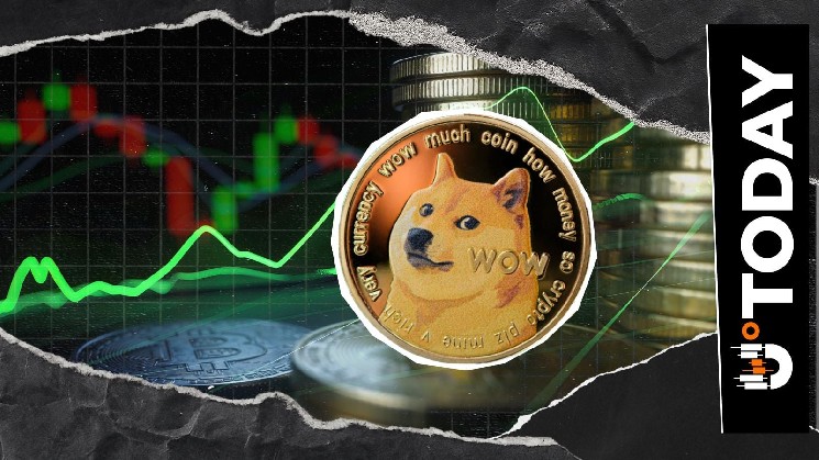 4,897,291 DOGE Shorts Liquidation Hit as Buyers Return, What's Next?