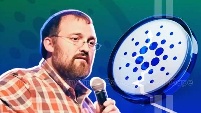 Может ли кардано цена достичь $ 1,17? Сильная позиция Хоскинсона на выкуп оптимизм, оптимизм