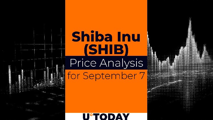 SHIB Price Prediction for September 7