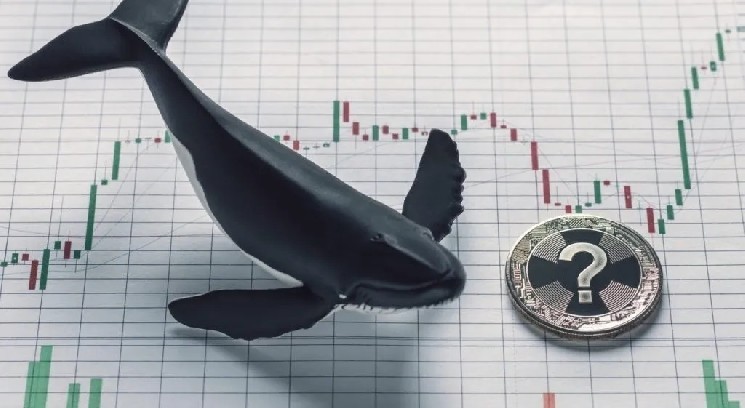 Whale, Considered One of the Best Traders of His Era, Dumped a Massive Amount of an Altcoin Today