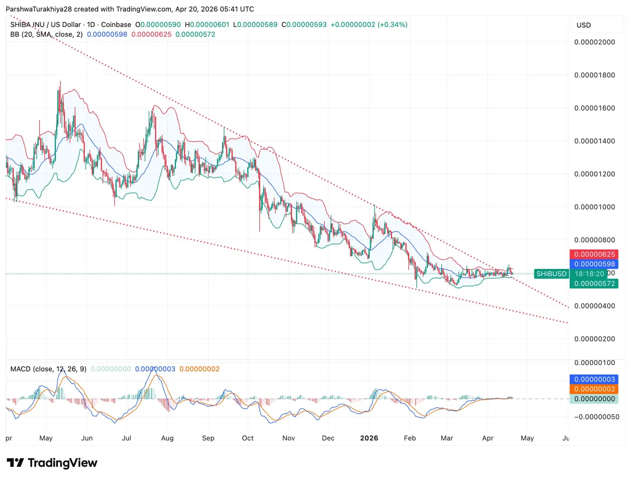 Прогноз цены на Shiba Inu: первый бычий сигнал SHIB с февраля приходит с быстрым ослабеванием Burns