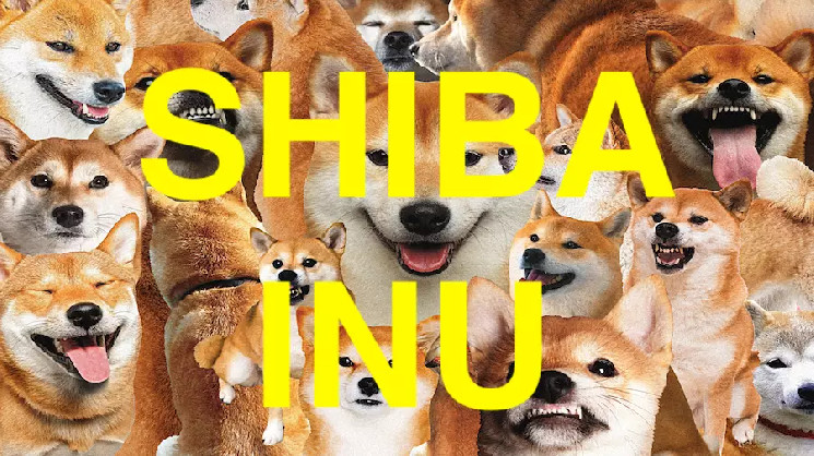 Google Trends: Интерес к Shiba Inu стремится к двухлетнему максимуму