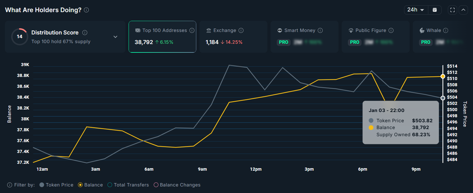ZEC Top 100 Holders. 