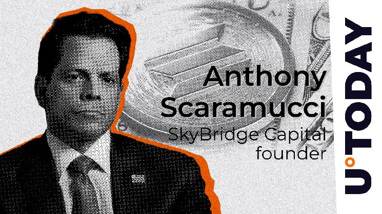 Scaramucci предсказывает принятие Solana крупными игроками: детали