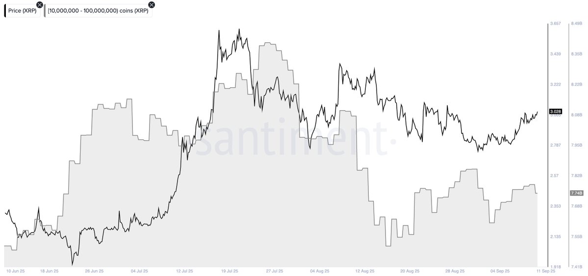 Киты XRP двигаются