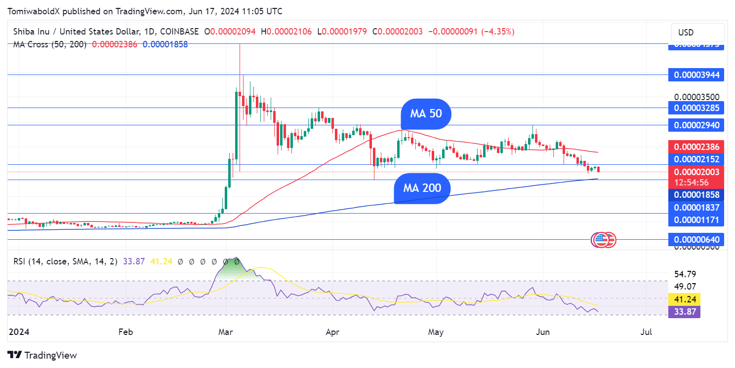 TradingView