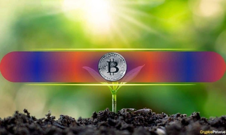 Менее чем 1 BTC может быть достаточно, чтобы уйти в отставку: вот почему