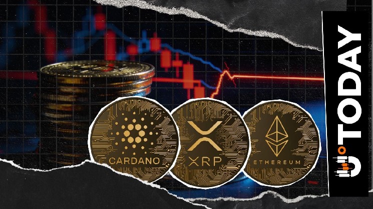 Cardano, XRP, Ethereum and Other Altcoins' Popularity Collapses: Does Anyone Need Them?