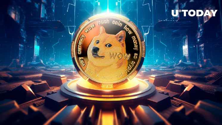 Dogecoin (DOGE) наблюдает эпический всплеск транзакций на 1 миллион долларов. Что происходит?