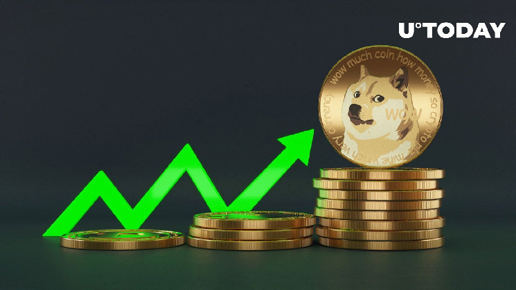 «Количество растет», говорит создатель Dogecoin, когда цена DOGE взлетает