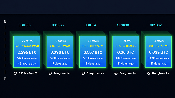 Replay Attack Alarm Grows as BIP-110 Backers Brand Bitcoin 'Spamcoin'