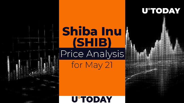Прогноз цен SHIB на 21 мая