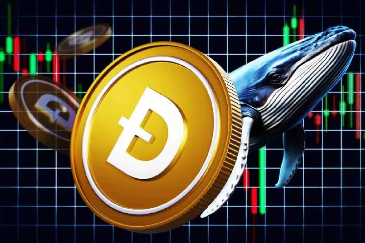 Dogecoin Open Censing Surges 5,24% до 1,3 млрд. Долл. США за 24 часа