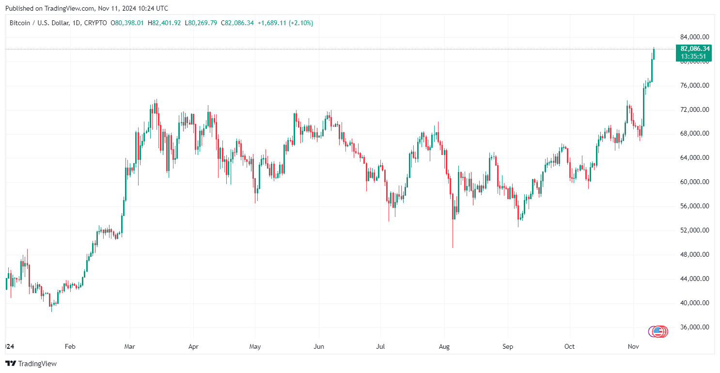 By TradingView - BTCUSD_2024-11-11 (YTD)