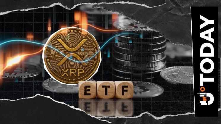 Ключевой показатель XRP снижается, поскольку быки скупают токены в преддверии запуска ETF