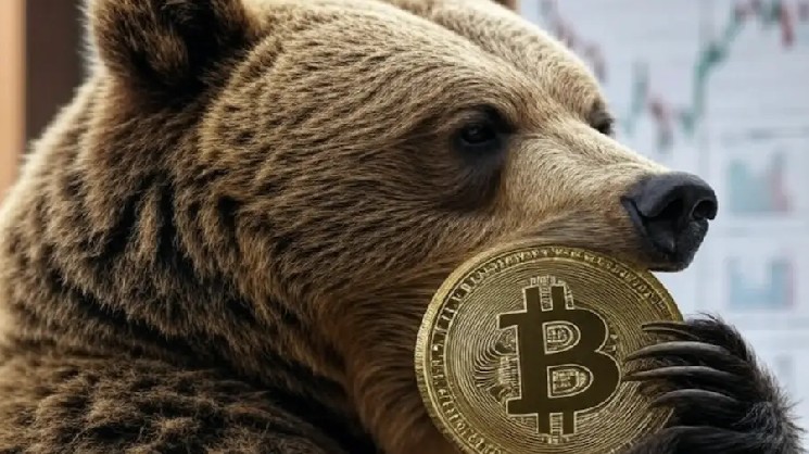 Аналитик TradingView объявил о начале медвежьего цикла биткоина