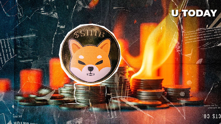 Скорость сжигания SHIB подскочила на 515,33% — последует ли цена этому примеру?