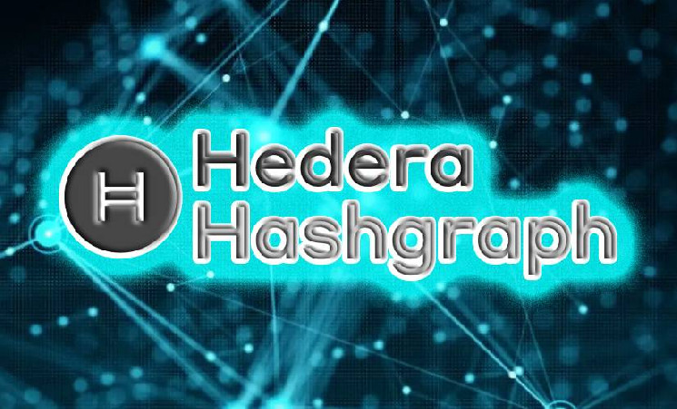 Hedera — лидер криптопроектов по активности разработки