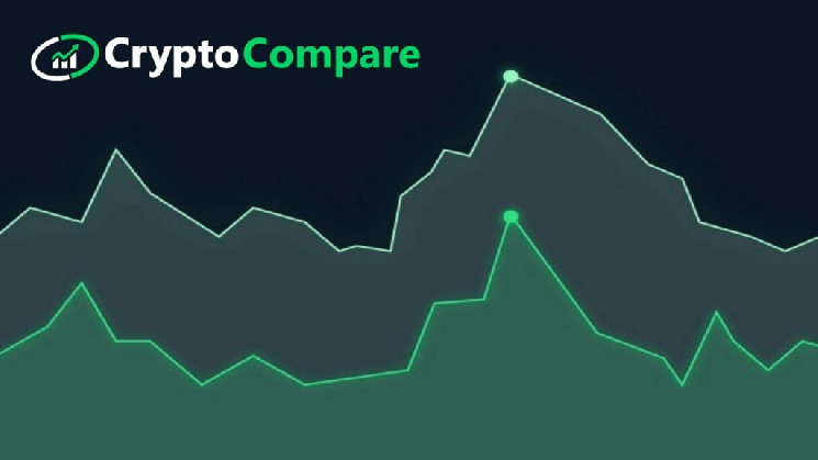 CryptoCompare: В 2019 году было взломано 3% криптовалютных бирж