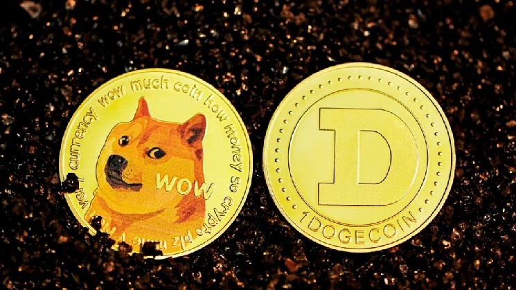 Dogecoin ETF: Huge Disappointment: Why Did Millions of DOGE Investors Fail to Show Interest? Here Are the Details