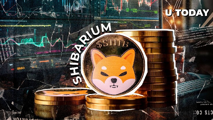 Разработчики Shibarium для реализации этого важнейшего обновления, вот причина