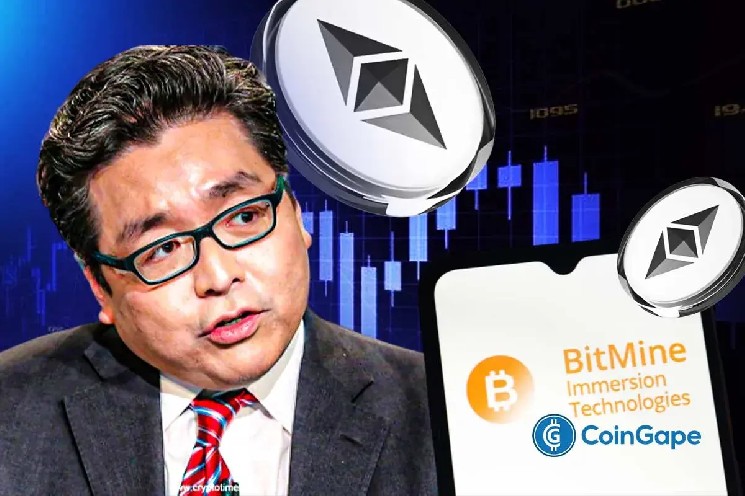 Ethereum Is Flashing Bottom Signals, Says Bitmine’s Tom Lee