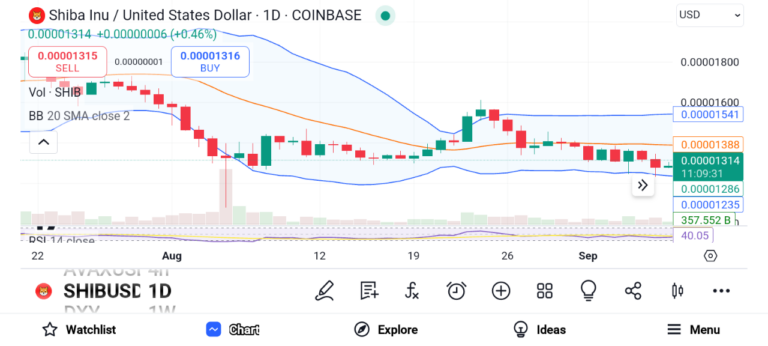 Momentum Terbangun untuk Shiba Inu: Apakah Resistensi $0.000014 Berikutnya?