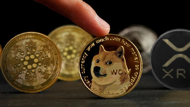 Объявлена ​​вероятная дата запуска спотовых ETF Dogecoin (DOGE)! Вот подробности…