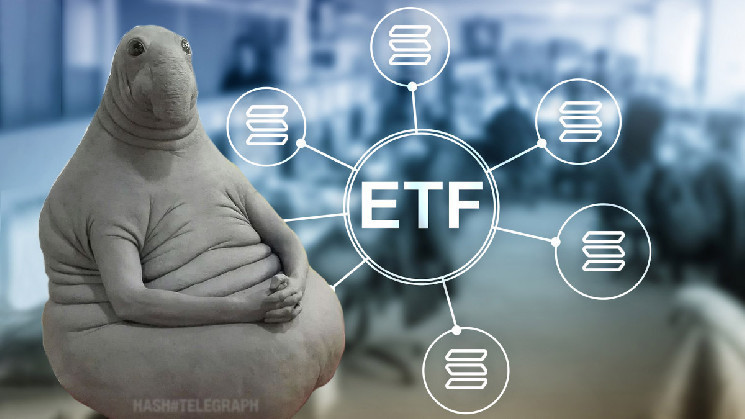 Solana-ETF — реальность или мечта 2025 года?