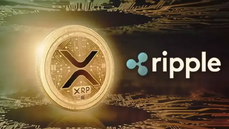 Руководитель Ripple назвал ключевые направления деятельности на Ближнем Востоке и в Африке