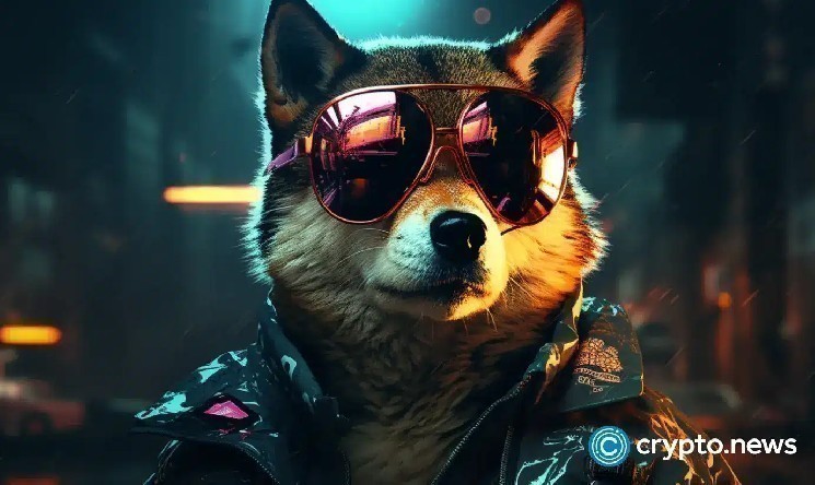 Восстанет ли цена на сиба-ину по мере роста темпов сжигания и сокращения валютных резервов?