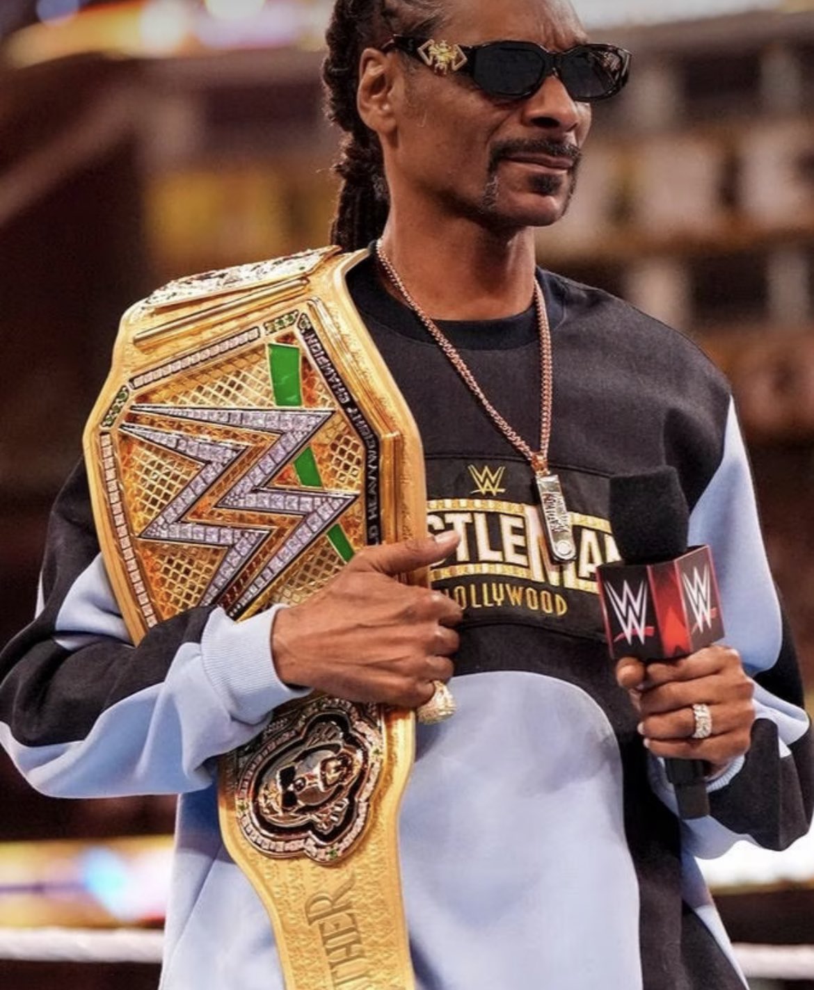 Snoop Dogg Shows Off Customized Golden Ledger Wallet on Twitter