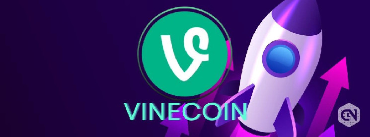 Рыночная стоимость приложения для коротких видео Vine VINECOIN составляет 18 миллионов долларов