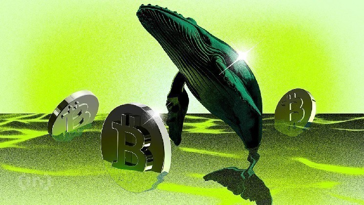 Как перевод 20 000 биткоинов повлияет на цену BTC