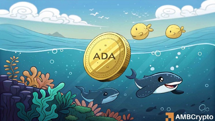 Cardano: $0.30 target comes into focus, but ADA’s real move depends on…