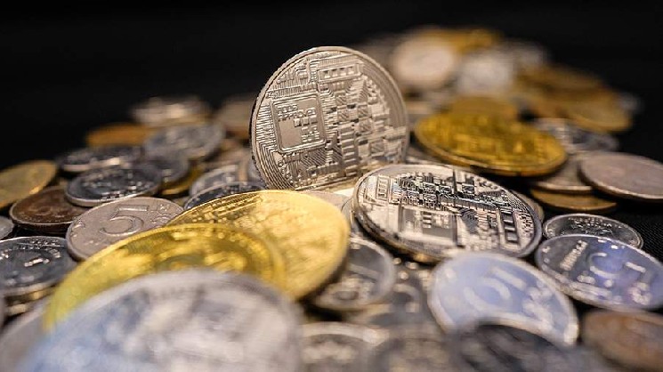 Набиуллина отметила недопустимость внедрения криптовалюты для расчетов внутри РФ