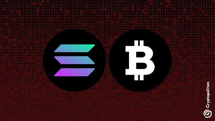 Биткойн, Солана сохраняет доминирование на рынке криптографии на фоне замедления Q1 2025